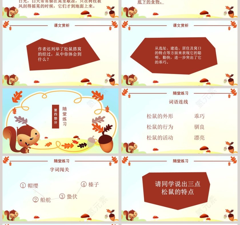 五年级语文课件PPT松鼠第4张