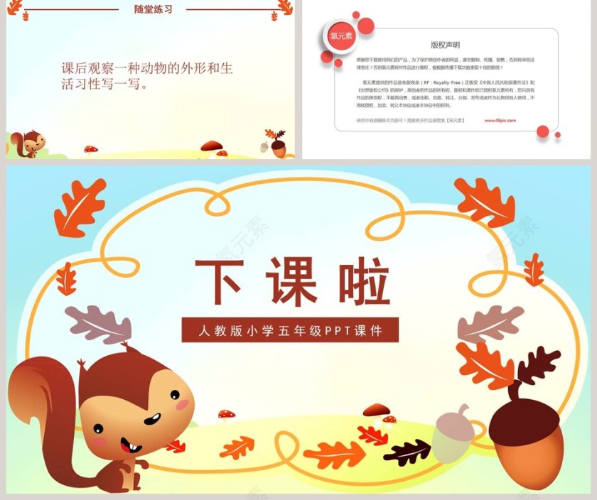 五年级语文课件PPT松鼠第5张