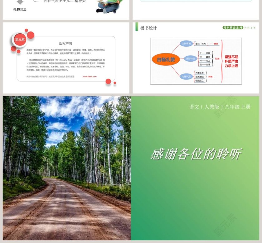 部编版八年级语文上册白杨礼赞语文课件PPT第4张