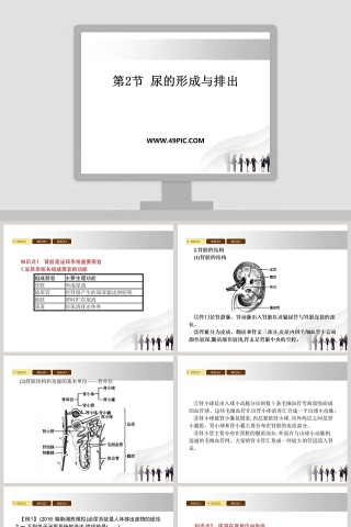 第-2教学ppt课件