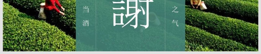 茶味商业计划书PPT第6张