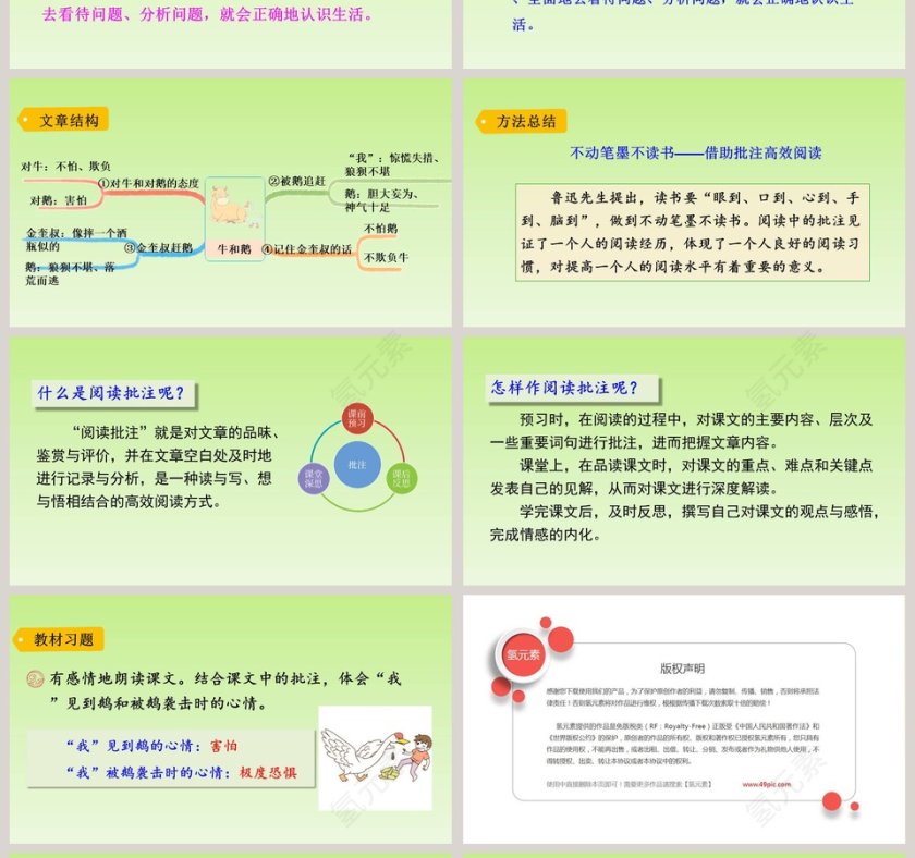 课文解析四年级语文上册牛和鹅语文课件PPT第4张