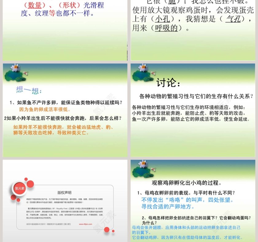 动物的繁殖-鄂教版五年级科学下册教学ppt课件第5张