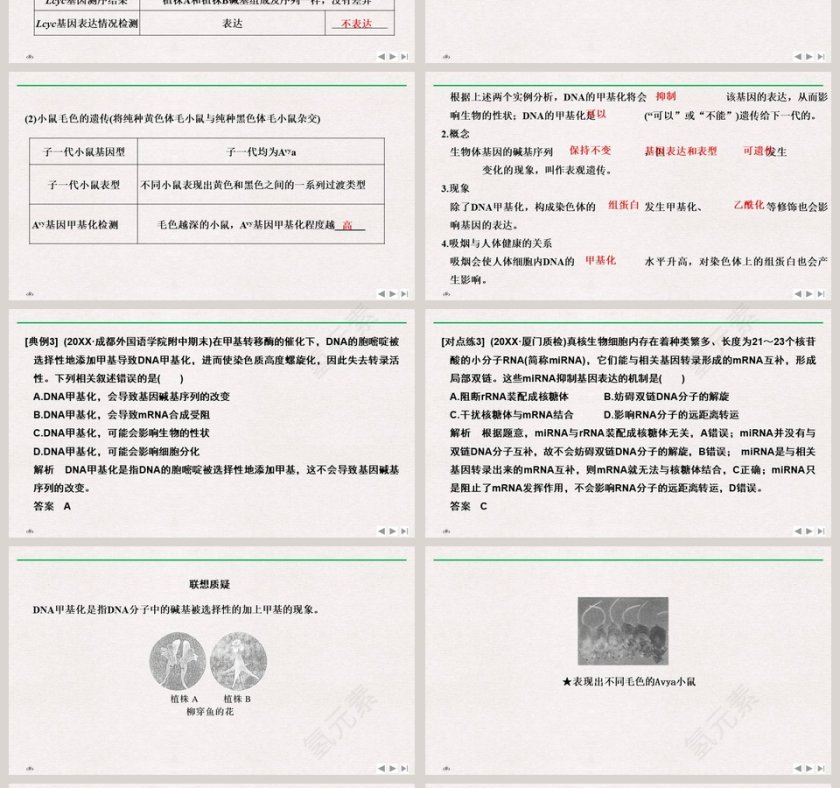 第-2教学ppt课件第4张