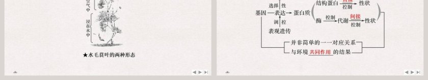 第-2教学ppt课件第6张