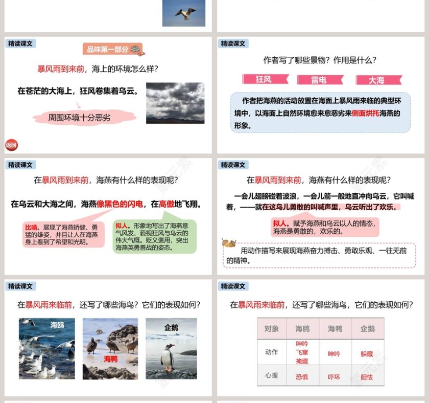 统编版九年级语文下册海燕PPT课件第4张
