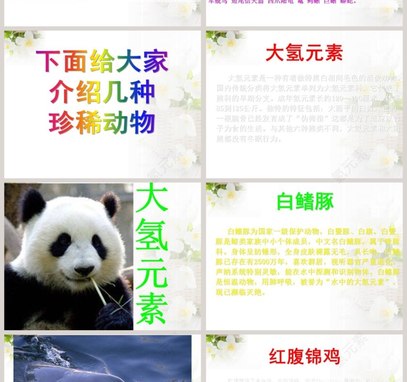 政务党建PPT模板-珍稀动植物保护工作汇报第2张