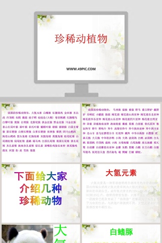 政务党建PPT模板-珍稀动植物保护工作汇报