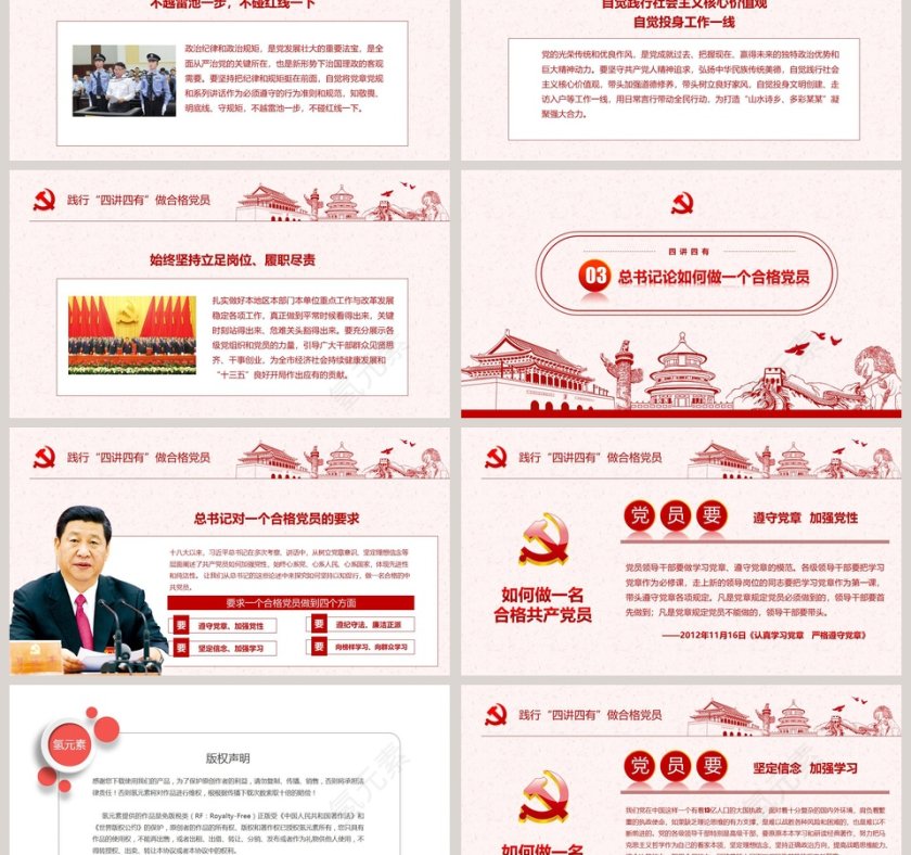 践行“四讲四有”做新时代合格党员PPT模板第6张