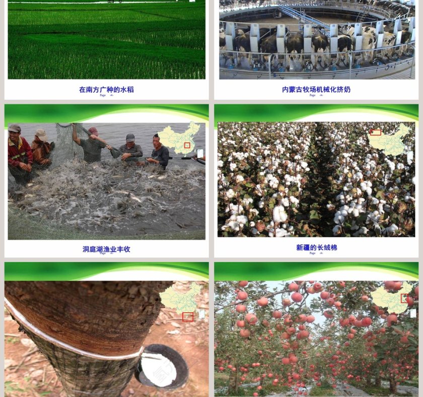 第二节  农业第四章   中国的经济发展PPT模板第5张