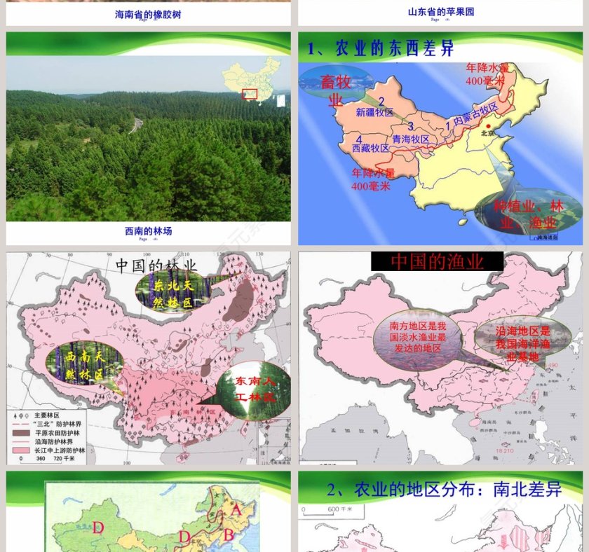第二节  农业第四章   中国的经济发展PPT模板第6张