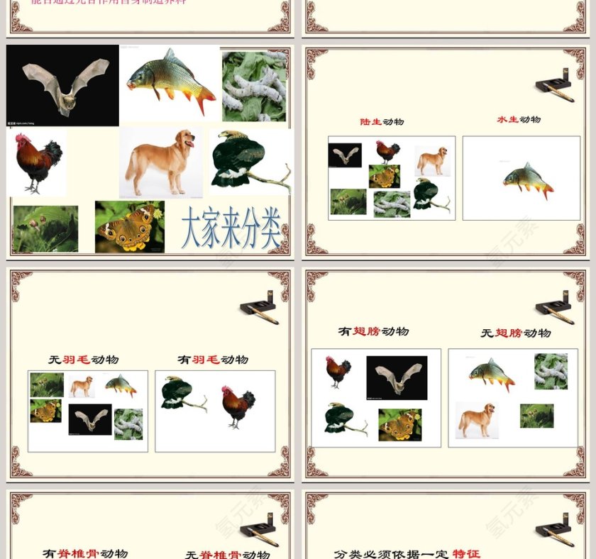 常见的动物-httpm470什么药治老胃病最好教学ppt课件第2张
