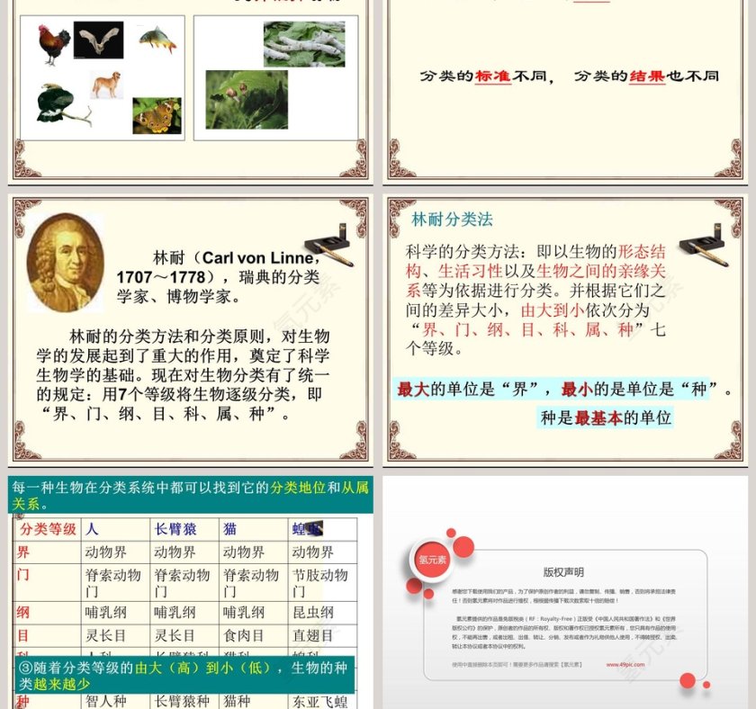 常见的动物-httpm470什么药治老胃病最好教学ppt课件第3张