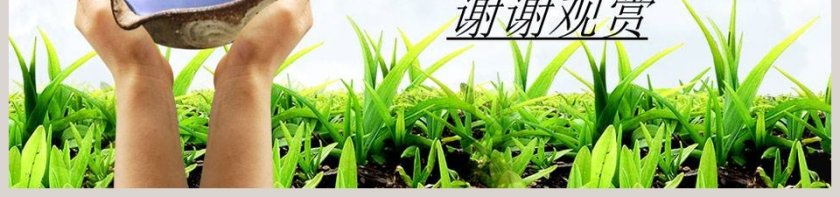 水是生命之源节约用水PPT第7张