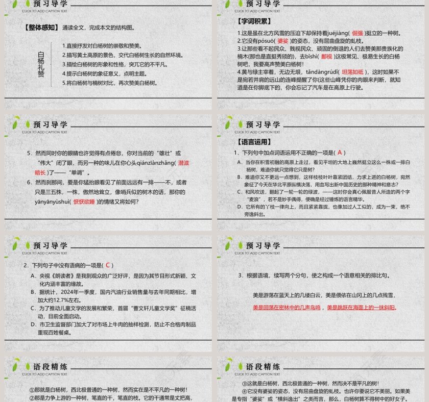 人教部白杨礼赞语文课件PPT模板第2张