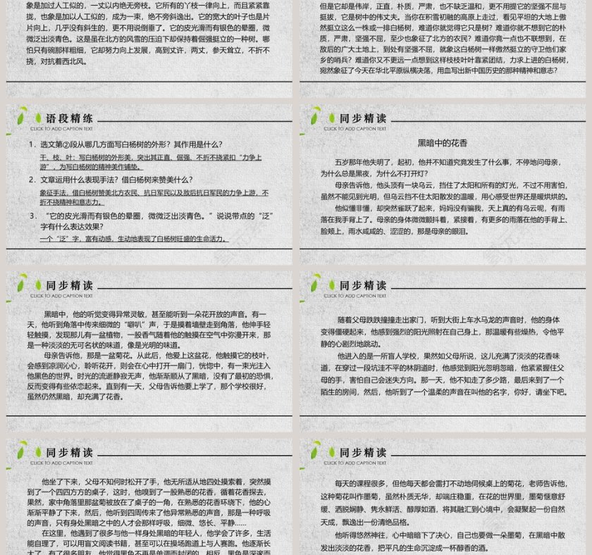 人教部白杨礼赞语文课件PPT模板第3张