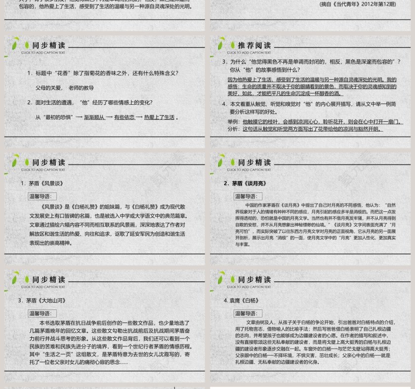 人教部白杨礼赞语文课件PPT模板第4张