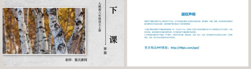 人教部白杨礼赞语文课件PPT模板第5张