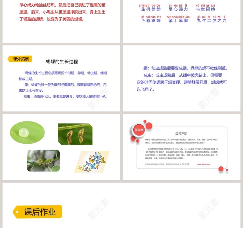 二年级语文下册小毛虫PPT课件第6张