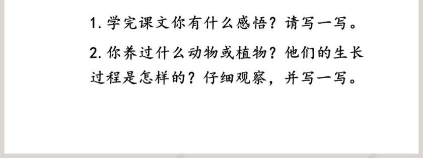 二年级语文下册小毛虫PPT课件第7张