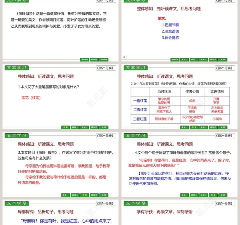 课文解析荷叶母亲语文课件PPT第2张