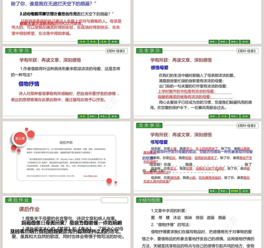 课文解析荷叶母亲语文课件PPT第3张