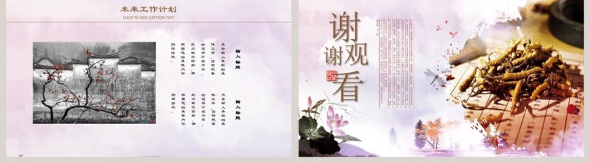 中医养生文化工作概述PPT第5张