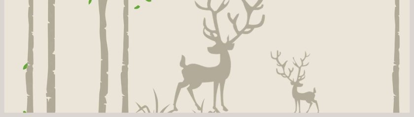 森林系时尚工作总结PPT模板第8张