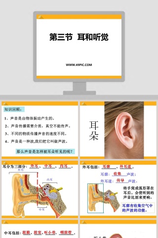 第三节  耳和听觉教学ppt课件