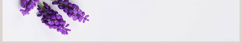 紫色花朵简约PPT模板工作报告第6张