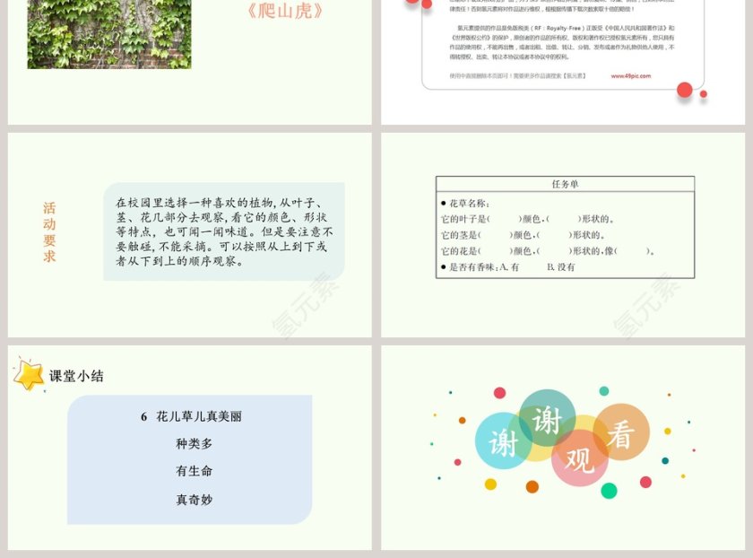 第二单元 我和大自然-6教学ppt课件第3张