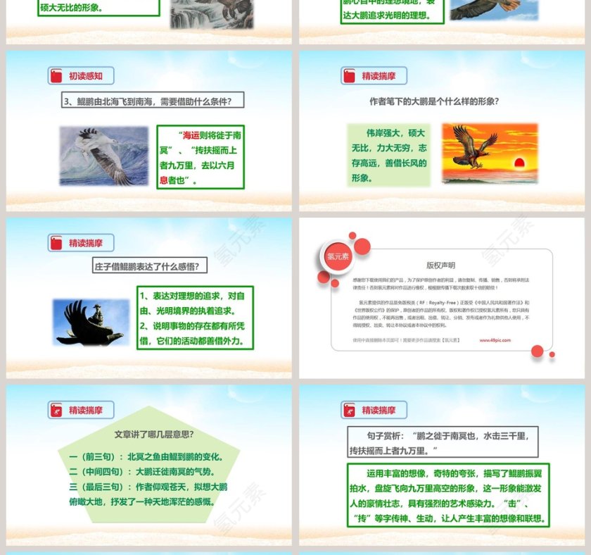 课文解析庄子二则北冥有鱼语文课件PPT第4张