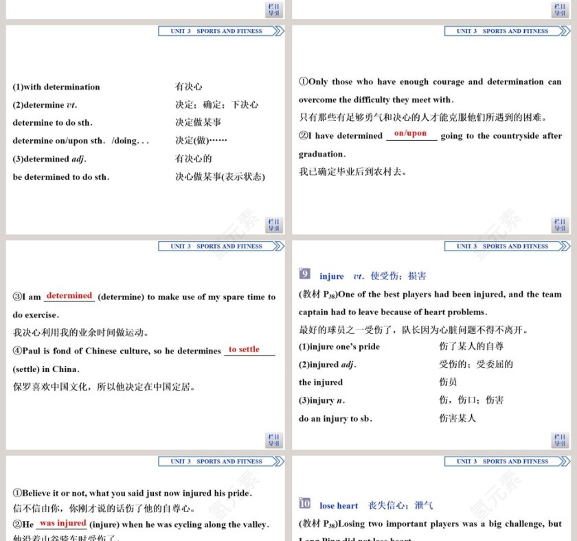 Section-Reading and Thinking教学ppt课件第8张