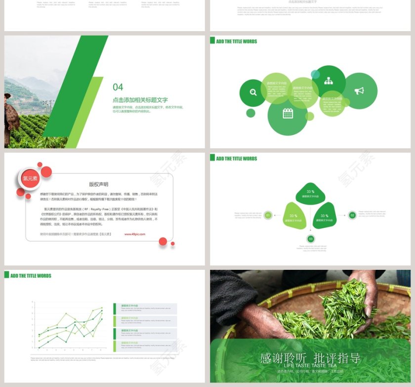 绿色端庄品味人生 品味茶香第4张