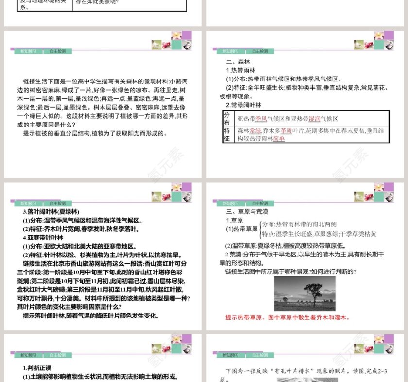 第五章 植被与土壤-植 被教学ppt课件第2张