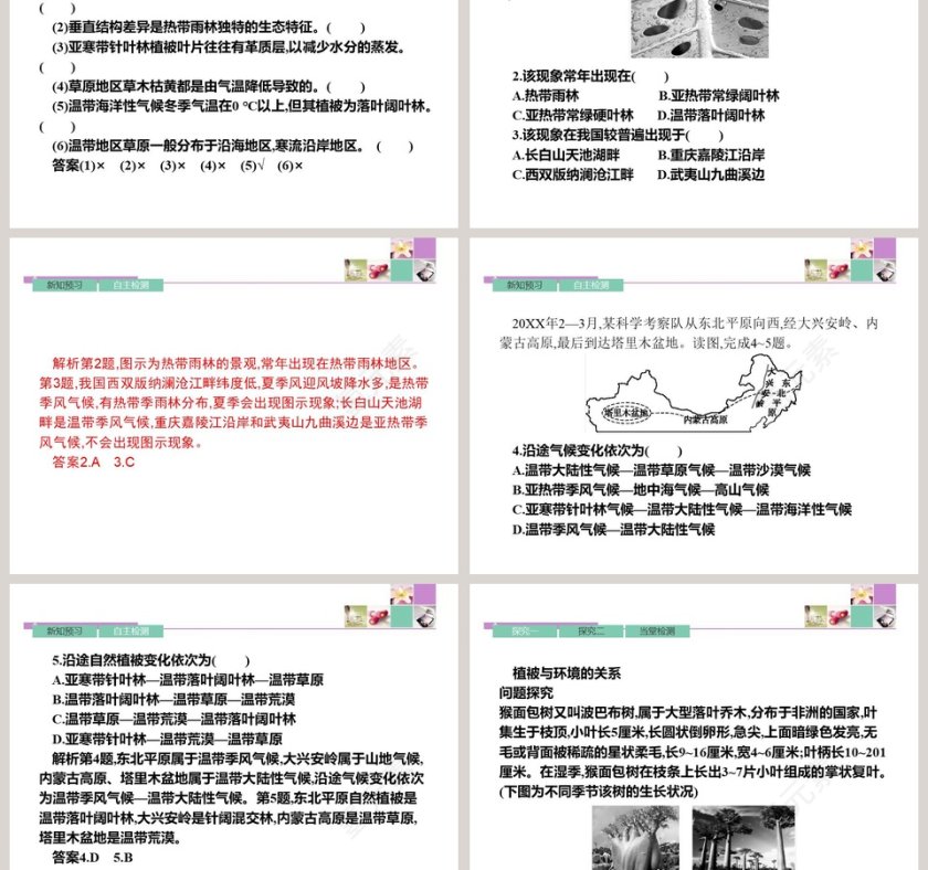 第五章 植被与土壤-植 被教学ppt课件第3张