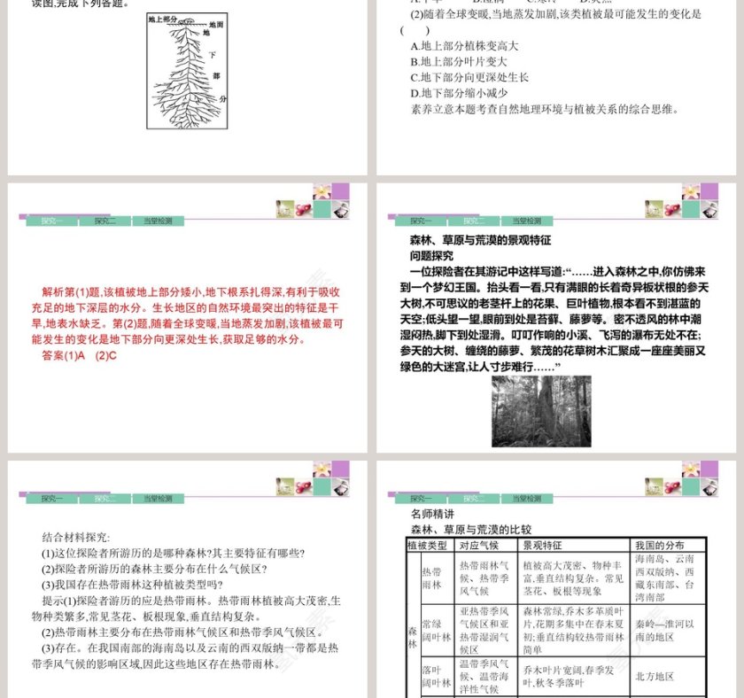 第五章 植被与土壤-植 被教学ppt课件第5张