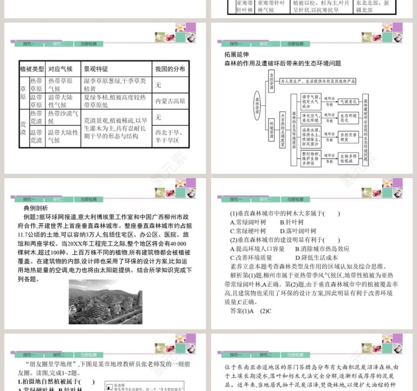 第五章 植被与土壤-植 被教学ppt课件第6张