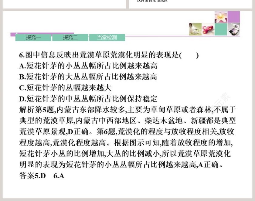 第五章 植被与土壤-植 被教学ppt课件第8张