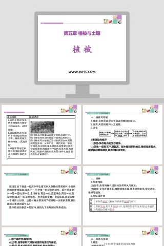 第五章 植被与土壤-植 被教学ppt课件