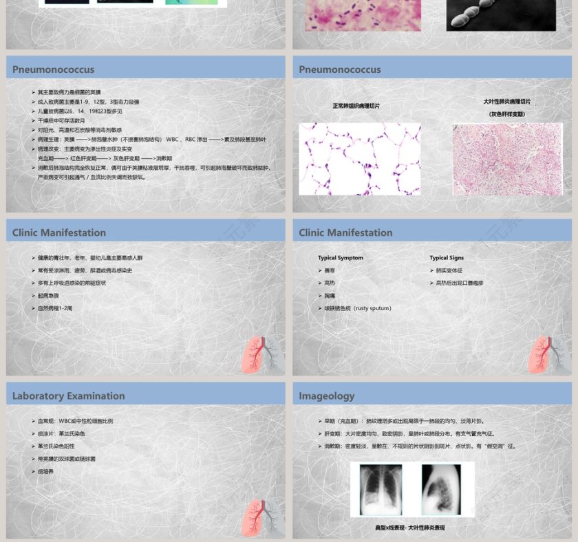 肺部感染性疾病培训课件PPT第7张