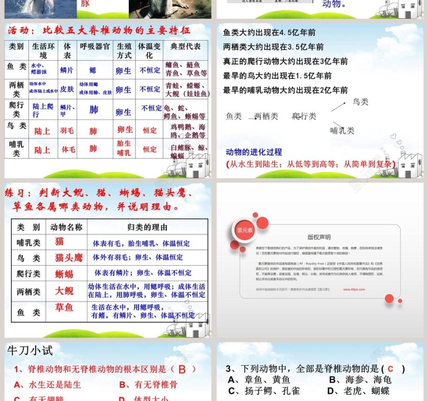 常见的动物教学ppt课件第6张