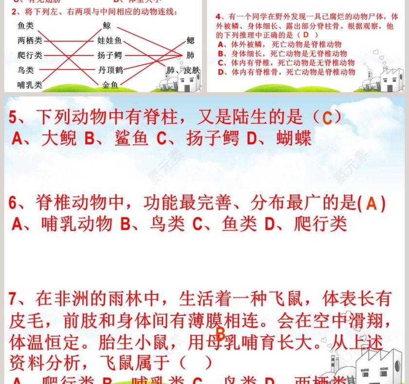 常见的动物教学ppt课件第7张