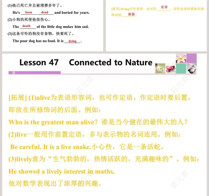 Connected to Nature-Unit 8教学ppt课件第3张