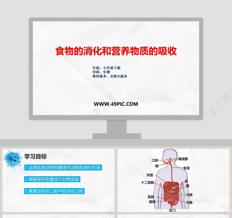 食物的消化和营养物质的吸收-年级七年级下册教学ppt课件第1张