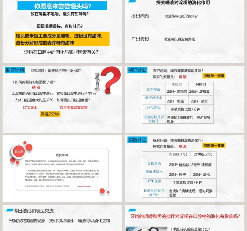食物的消化和营养物质的吸收-年级七年级下册教学ppt课件第2张