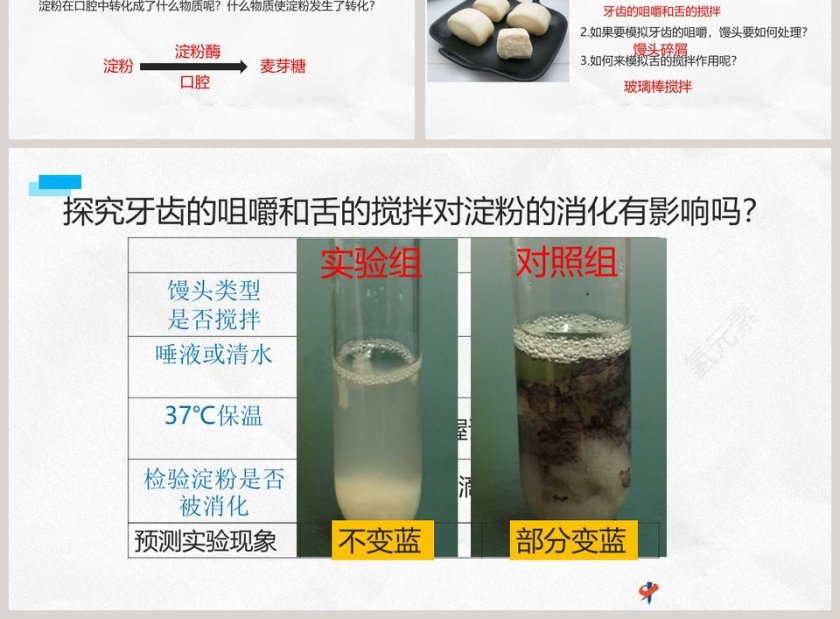 食物的消化和营养物质的吸收-年级七年级下册教学ppt课件第3张