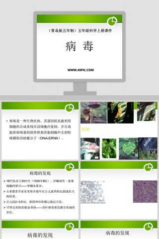 病 毒-青岛版五年制五年级科学上册课件教学ppt课件
