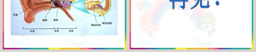 青岛版五年级科学上册-怎样听到声音教学ppt课件第13张