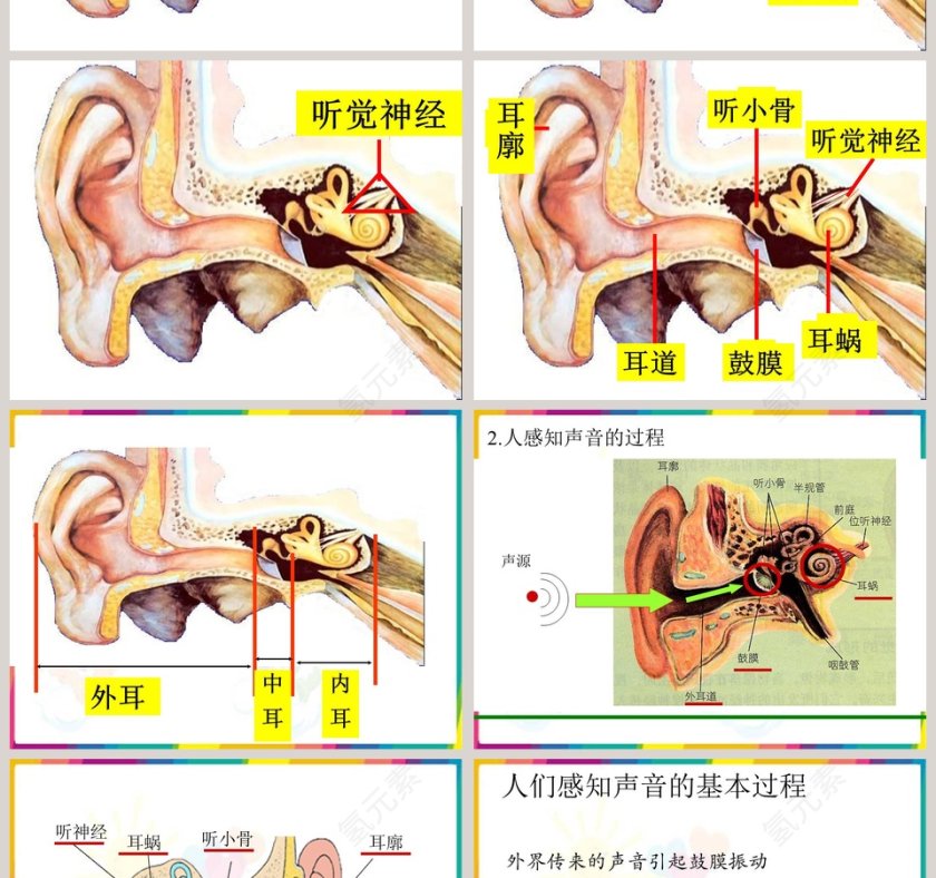 青岛版五年级科学上册-怎样听到声音教学ppt课件第4张